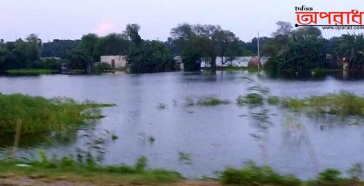 রাজবাড়ীতে বন্যায় কৃষকের ক্ষতির তুলনায় বরাদ্দ সামান্য, বিতরণ হয়নি এখনো।