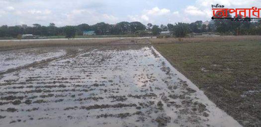 কিশোরগঞ্জের বিভিন্ন উপজেলায় বন্যার পানিতে আমনের চারা সংকট