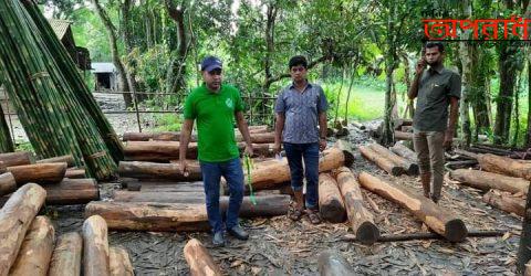 হাটহাজারীতে কাঠ পাচারকালে মূল্যবান সেগুন কাঠ জব্দ