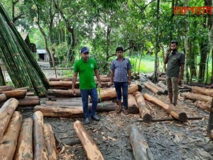 হাটহাজারীতে কাঠ পাচারকালে মূল্যবান সেগুন কাঠ জব্দ