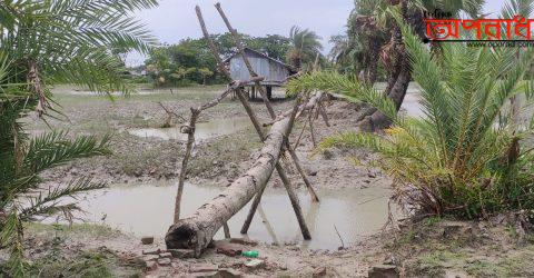 কলাপাড়ায় মাত্র ২ মাইলে ৯ টি সাঁকো, বেড়ীবাঁধ সংলগ্ন মানুষগুলোর দূবীসহ জীবন-যাত্রা ॥