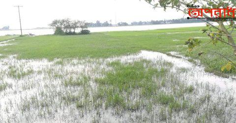 আজমিরীগঞ্জে দ্বিতীয় বারের মত কুশিয়ারার, কালনী,ভেড়ামোহনা ও বশিরা নদীর পানি বৃদ্ধি তলিয়ে গেছে ৫০ ভাগ বীজতলা