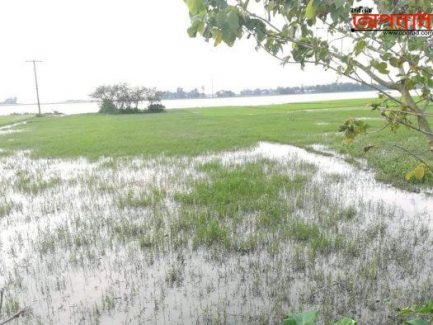 আজমিরীগঞ্জে দ্বিতীয় বারের মত কুশিয়ারার, কালনী,ভেড়ামোহনা ও বশিরা নদীর পানি বৃদ্ধি তলিয়ে গেছে ৫০ ভাগ বীজতলা