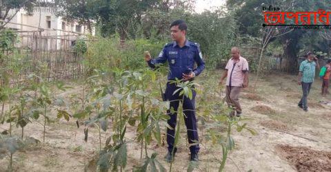 চুনারুঘাট থানায় ফল-ফুলের সঙ্গে সবজির চাষ ‘মিটছে পুলিশের চাহিদা’