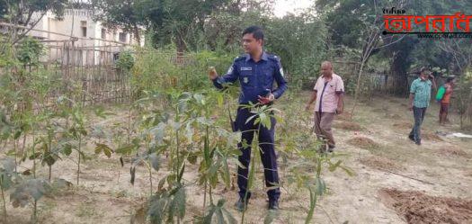 চুনারুঘাট থানায় ফল-ফুলের সঙ্গে সবজির চাষ ‘মিটছে পুলিশের চাহিদা’