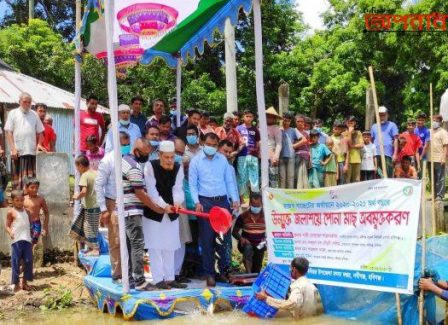 নবীগঞ্জে উন্মুক্ত জলাশয়ে ৩৩৪ কেজি মাছের পোনা অবমুক্ত