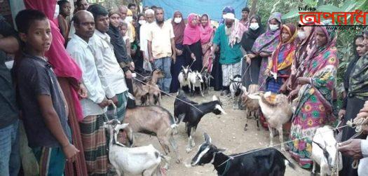 জকিগঞ্জের বারহালে সূচনা প্রকল্পের ছাগল বিতরণ