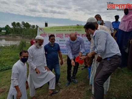 হাটহাজারীতে তাল গাছের বীজ বপন করেছে উপজেলা প্রশাসন