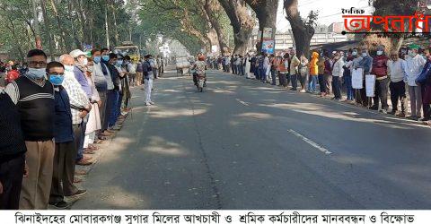 কালীগঞ্জে মোবারকগঞ্জ সুগার মিলের আখচাষী ও  শ্রমিক কর্মচারীদের মানববন্ধন ও বিক্ষোভ