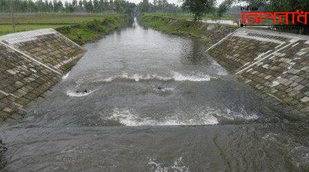 কলাপাড়ায় প্রভাবশালী কতৃক স্লুইজ গেটের পানি আটকের ফলে চরম ক্ষতিগ্রস্থ কৃষক ॥