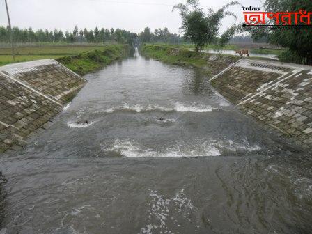 কলাপাড়ায় প্রভাবশালী কতৃক স্লুইজ গেটের পানি আটকের ফলে চরম ক্ষতিগ্রস্থ কৃষক ॥