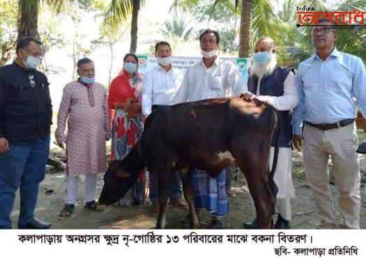 কলাপাড়ায় ক্ষুদ্র নৃ-গোষ্ঠীর ১৩ পরিবারের মাঝে গরু (বকনা) বিতরণ॥