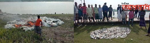 কলাপাড়ায় ১০মন জাটকা ইলিশ ও ২লক্ষ মিটার কারেন্ট জাল আটক করেছে কুয়াকাটা নৌ-পুলিশ॥