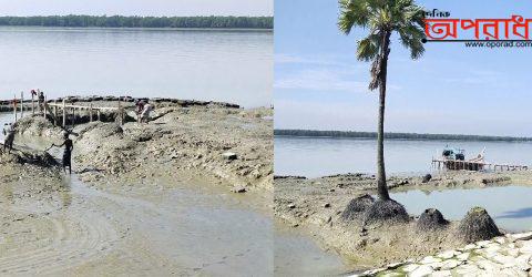 কলাপাড়াসহ উপকূলীয় এলাকার মানুষ আজও ভুলেনি ভয়াবহ সিডরের সেই তান্ডব॥