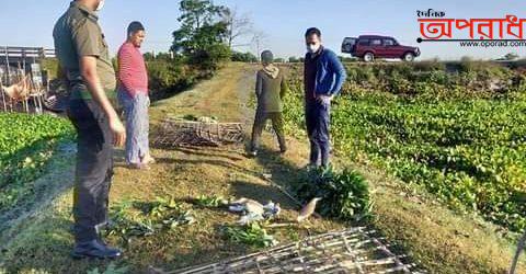 আজমিরীগঞ্জে হাওরে পাখি সুরক্ষায় প্রশাসনের অভিযান