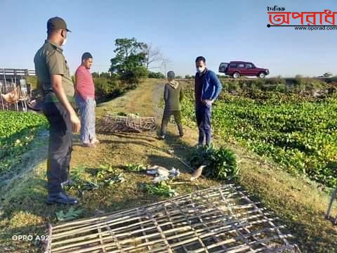 আজমিরীগঞ্জে হাওরে পাখি সুরক্ষায় প্রশাসনের অভিযান