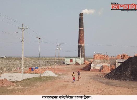 লালমোহনে ইটভাটায় জ্বলছে সরকারি সৌর বাতি, পুড়ছে বনের কাঠ!