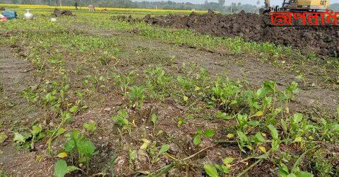 দূর্গাপুরে অবৈধ পুকুর খনন বন্ধের  আশ্বাস জেলা প্রশাসক আব্দুল জলিলের