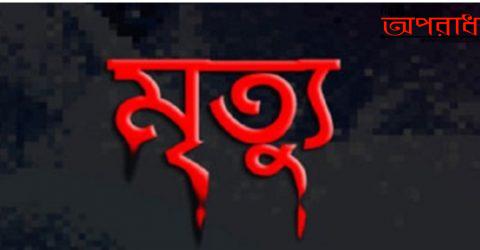 হিলিতে মটরসাইকেল হতে পড়ে আহত হওয়া স্কুল শিক্ষিকার  মৃত‍্যুঃ