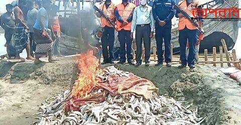 কলাপাড়ায় কোষ্টগার্ড অভিযান চালিয়ে ২০ মন নিষিদ্দ হাঙ্গড় আটক করে পুড়িয়ে ফেলে ॥