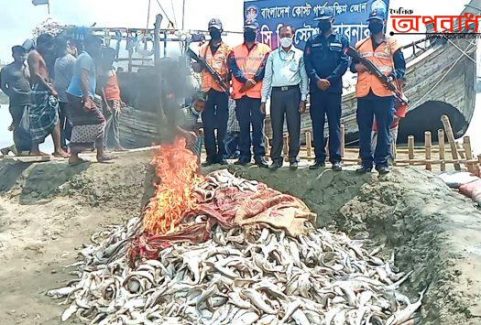 কলাপাড়ায় কোষ্টগার্ড অভিযান চালিয়ে ২০ মন নিষিদ্দ হাঙ্গড় আটক করে পুড়িয়ে ফেলে ॥