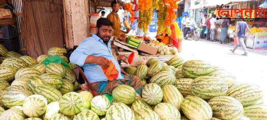 ধরা ছোয়ার বাইরে মোংলার “তরমুজ সিন্ডিকেট”