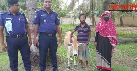 পিরোজপুরের কাউখালীতে গরু চোর গরুসহ আটক