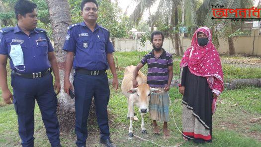 পিরোজপুরের কাউখালীতে গরু চোর গরুসহ আটক