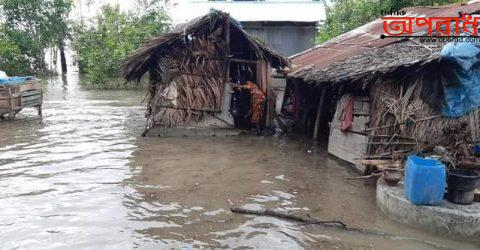 মোংলায় প্লাবিত চিংড়ি ঘের,ভেঙ্গেছে কাচা ঘর বাড়ি