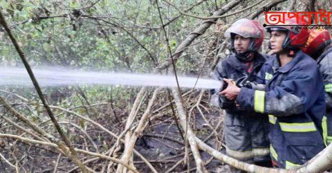 অবশেষে প্রায়ই ৩০ ঘন্টা পর নিভলো সুন্দরবনের আগুন, পুড়ে গেছে তিন একর বনভূমি