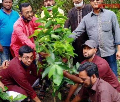 মহিপুর থানা যুবলীগের আয়োজনে বৃক্ষরোপণ কর্মসূচী অনুষ্ঠিত ॥