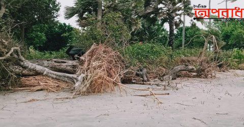 কুয়াকাটা সৈকত বারংবার ঝড়ের আঘাতে হারাতে বসেছে তার নান্দনিক সৌন্দযর্তা ॥