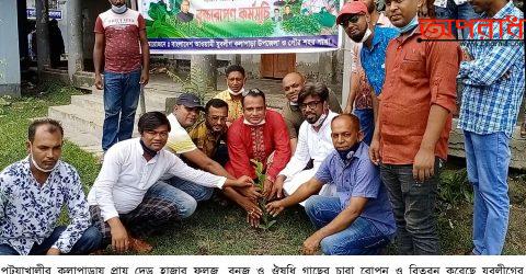 কলাপাড়ায় বিভিন্ন জাতের চারা রোপন ও বিতরন উপজেলা ও পৌর যুবলীগের ॥