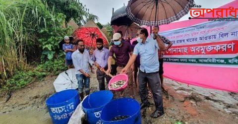 কাকাইলছেওয়ে রেনু থেকে রুপান্তরিত মাছের পোনা নদীতে অবমুক্ত