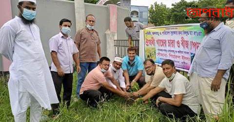 ভেড়ামারা দু’টি বিদ্যালয়ে  বিলুপ্তপ্রায় ভেষজ গাছ সোনালু ও গুয়ে বাবলা’র চারা রোপণ করলেন গাছ প্রেমিক পিয়ারুল।