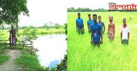 কলাপাড়ায় ১১ প্রভাবশালীর খাল দখলে ২ হাজার একর তিনফসলী জমি অনাবাদী, কৃষককুল চরম ভোগান্তিতে ॥