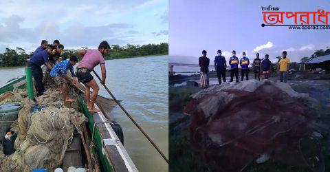 কলাপাড়ায় ৬,০০০ মিটার অবৈধ বেহুন্দী জাল আটক করলো নৌ-পুলিশ ॥