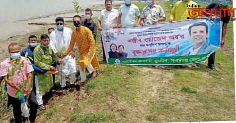 সজীব ওয়াজেদ জয়-এর জন্মদিনে সুনামগঞ্জ জেলা যুবলীগের দোয়া মাহফিল ও বৃক্ষরোপণ কর্মসূচী পালিত