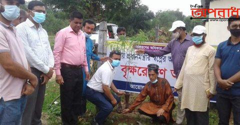 চুনারুঘাটের আশ্রায়নে প্রেসক্লাবের বৃক্ষ রোপন।