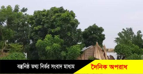 কুষ্টিয়ায় পদ্মার পানি কমলেও বাড়ছে ভাঙন