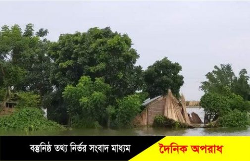 কুষ্টিয়ায় পদ্মার পানি কমলেও বাড়ছে ভাঙন