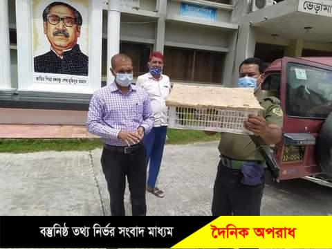 কুষ্টিয়ার ভেড়ামারায় আজ ১৮টি পাখিকে অবমুক্ত করলেন ইউএনও দীনেশ সরকার।