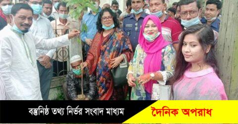 হবিগঞ্জে বিমান প্রতিমন্ত্রী এডভোকেট মাহবুব আলীর  সহধর্মীনির বৃক্ষরোণ