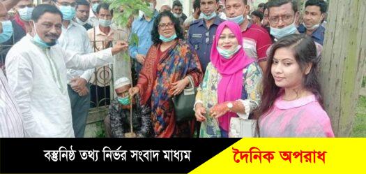 হবিগঞ্জে বিমান প্রতিমন্ত্রী এডভোকেট মাহবুব আলীর  সহধর্মীনির বৃক্ষরোণ