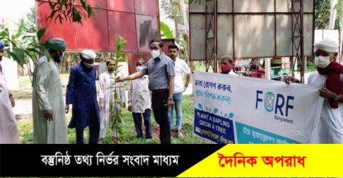 দাওয়াতে ইসলামীর ৪০ পূর্তি উপলক্ষ্যে চুনারুঘাটে চারা রোপন