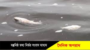 নন্দীগ্রামে লিজকৃত পুকুরে মাছ ধরার অভিযোগ