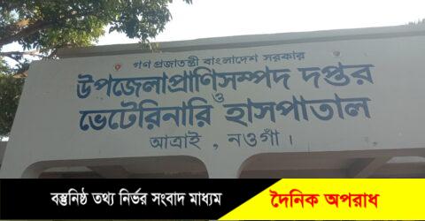 নওগাঁ জেলায় ডিম দুধ ও মাংসের উদ্বৃত্ত উৎপাদন জেলায় ২৪ হাজার ৭শ ৩২টি খামারে ৩ কোটি ২লক্ষ ৭৮ হাজ্ধাসঢ়;র প্রাণী প্রতিপালিত হচ্ছে