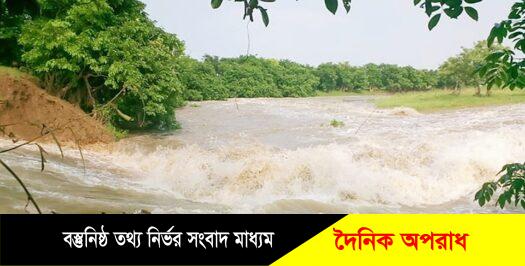 তাহিরপুরে ফসল রক্ষা বাঁধ ভেঙ্গে হাওরে ঢুকছে পানি