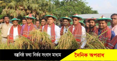 কুষ্টিয়ায় কম্বাইন হারভেষ্টারের সাহায্যে শস্য কর্তন ও মাঠ দিবস পালিত