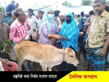 নওগাঁর আত্রাইয়ে ডাসকো ফাউন্ডশেনরে গরু- ছাগল- ভড়ো বতিরণ